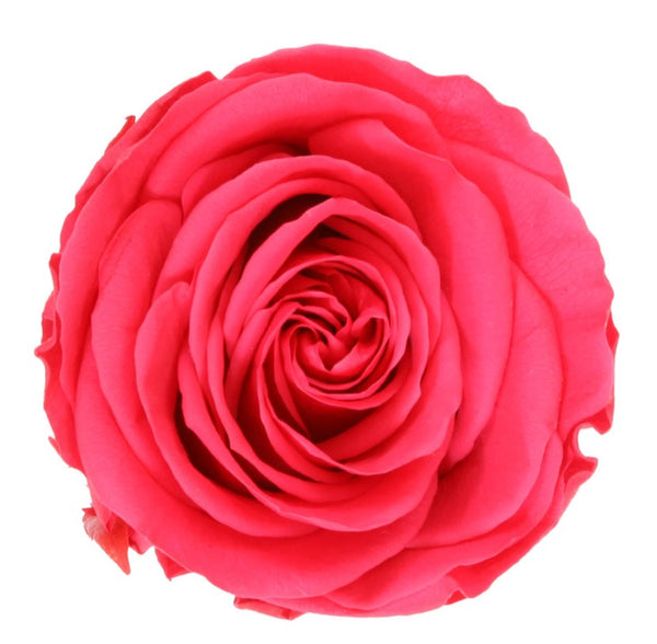Black square shape box with preserved roses