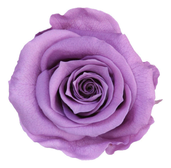 Black square shape box with preserved roses